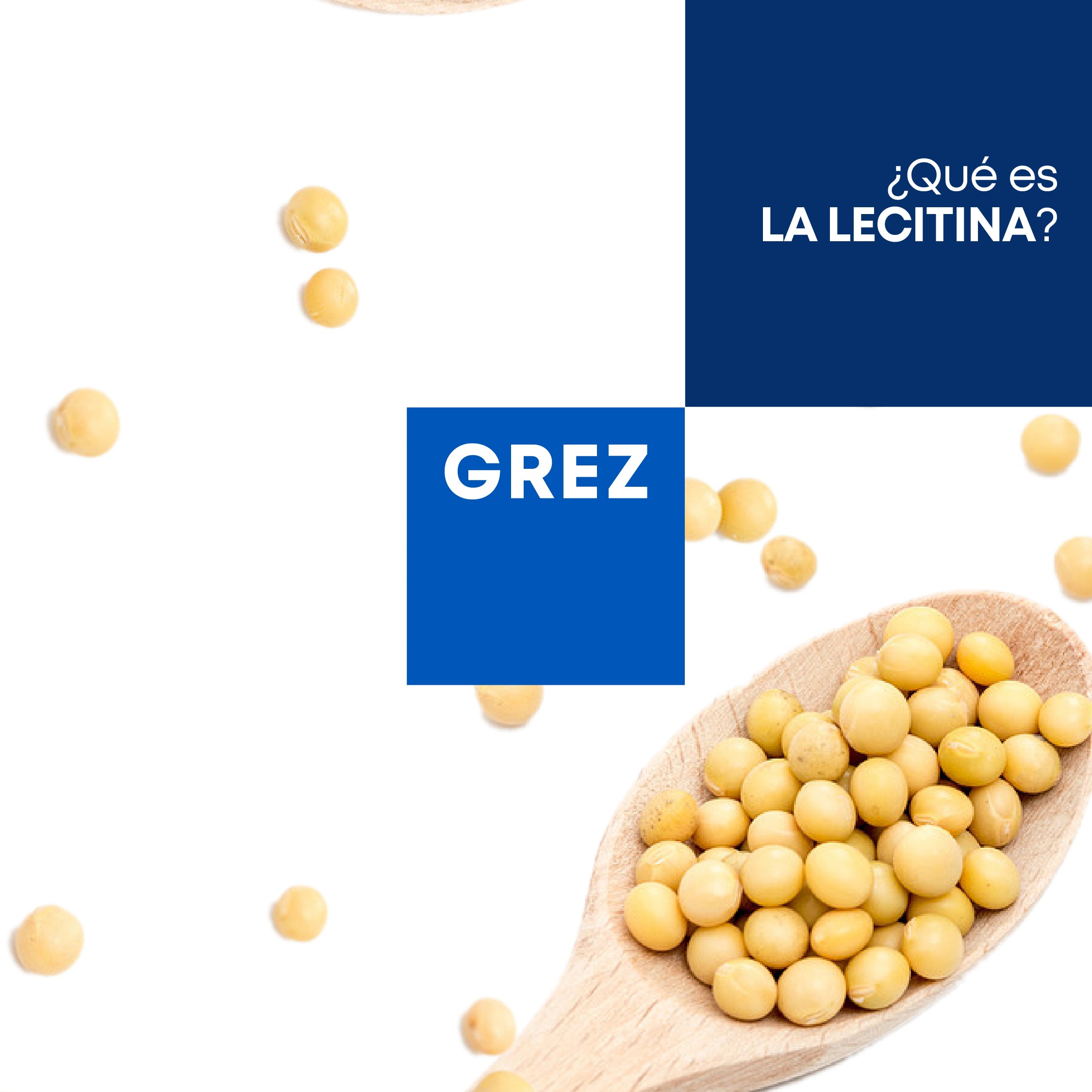 ¿Qué es la lecitina?