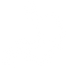 Enzimas
