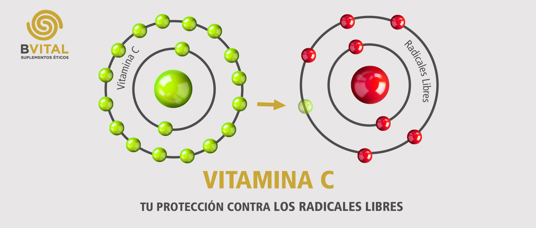 Vitamina C: La protección contra los radicales libres