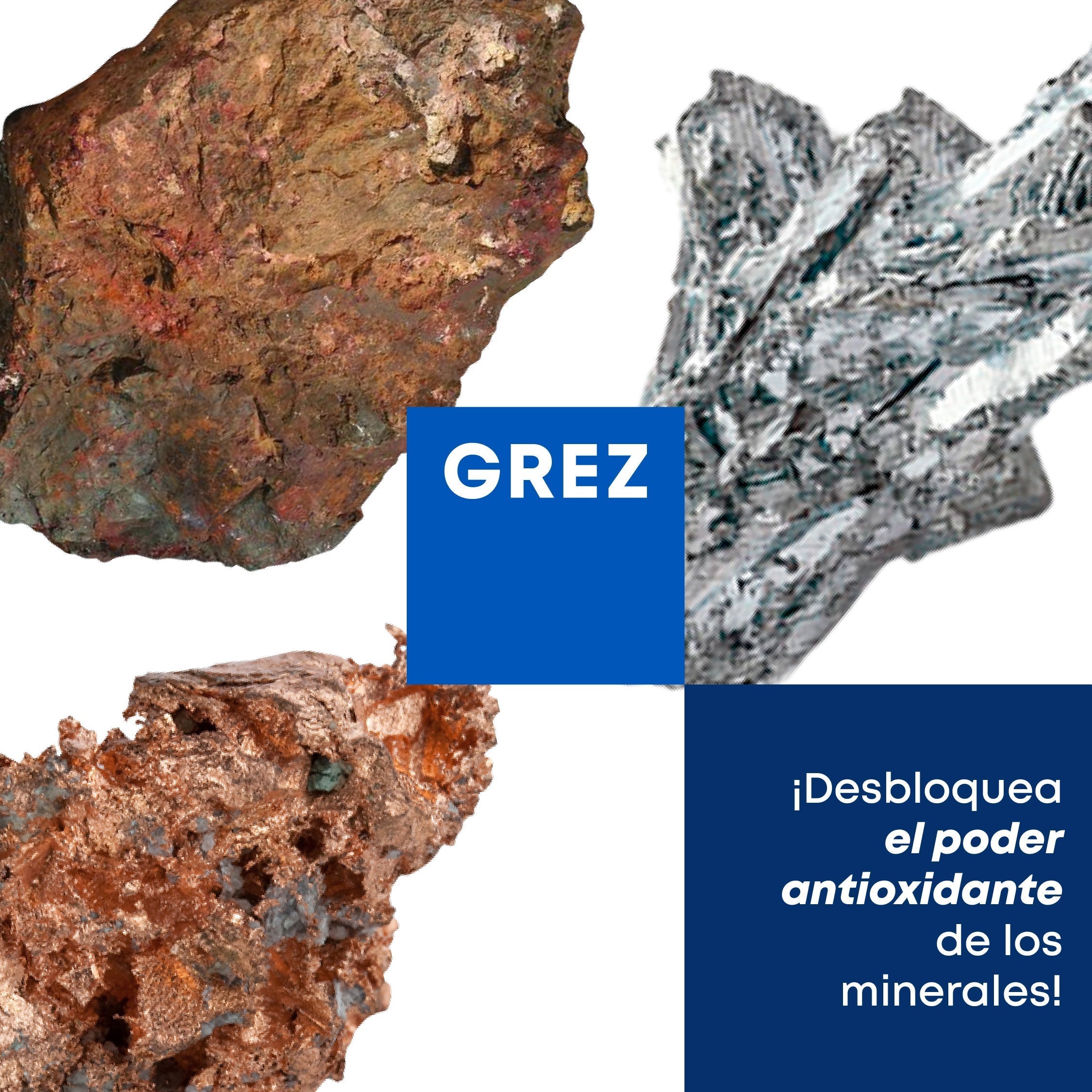 ¡Desbloquea el poder antioxidante de los minerales!