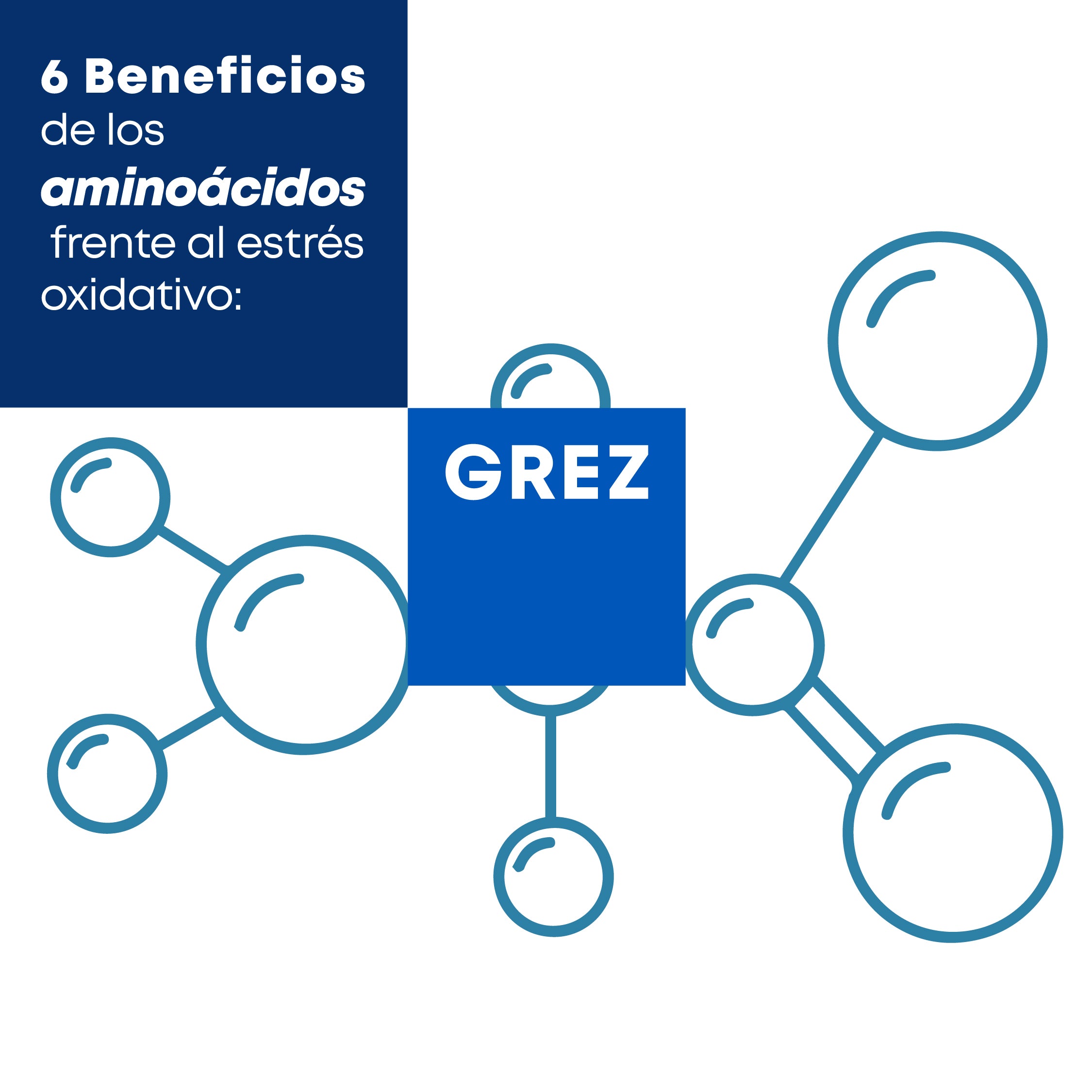 6 Beneficios de los aminoácidos frente al estrés oxidativo