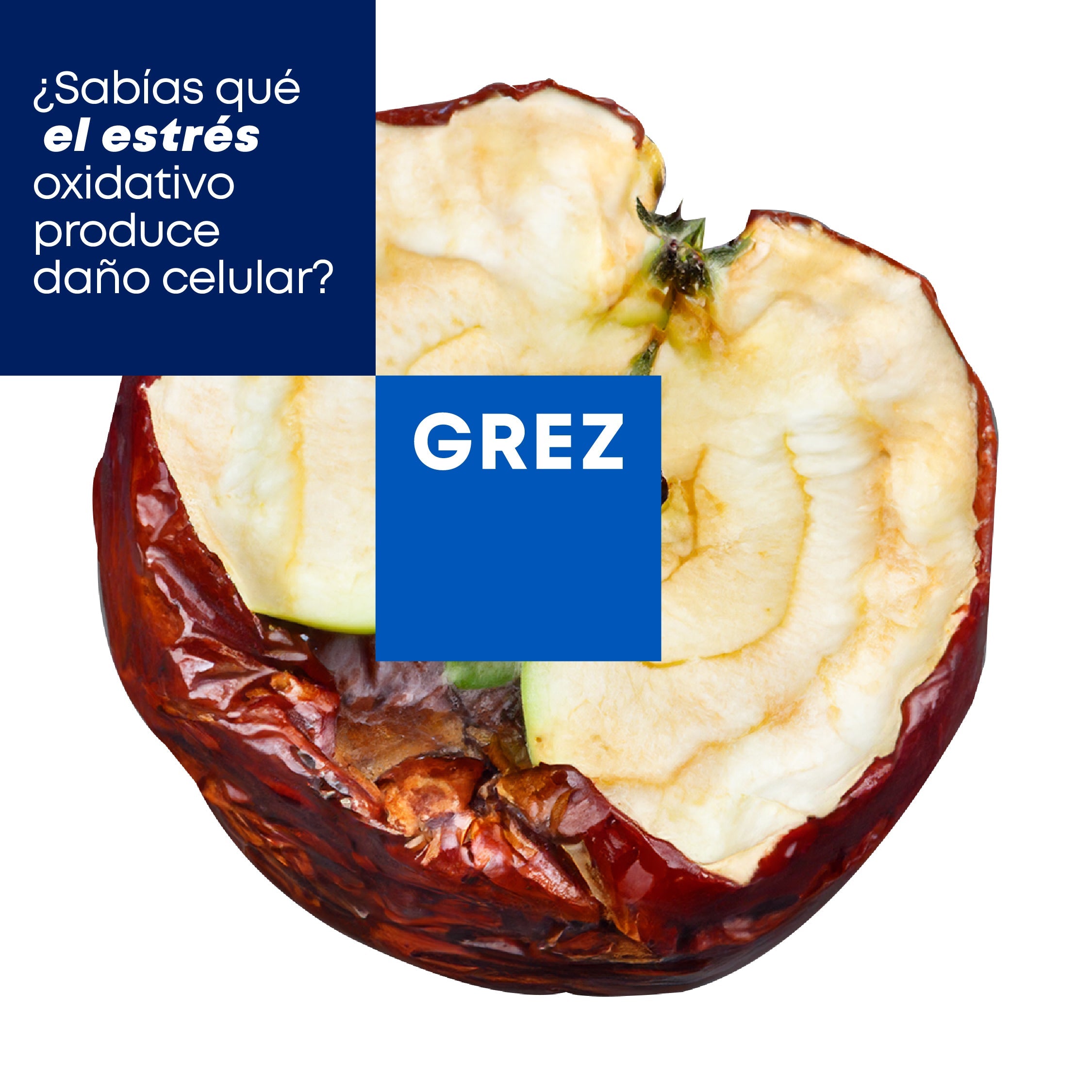 ¿Sabías que el estrés oxidativo produce daño celular?