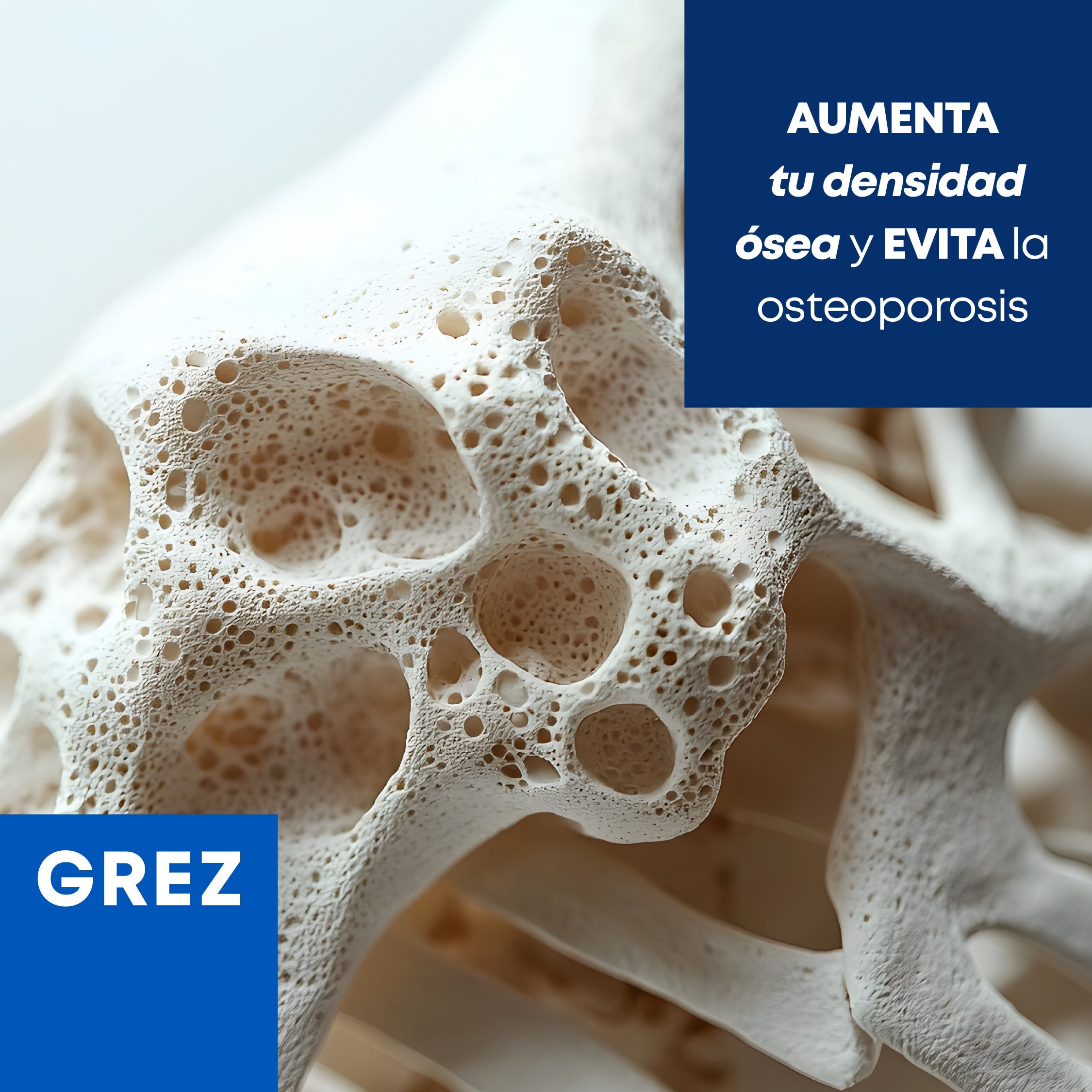 Aumenta tu densidad ósea y evita la osteoporosis