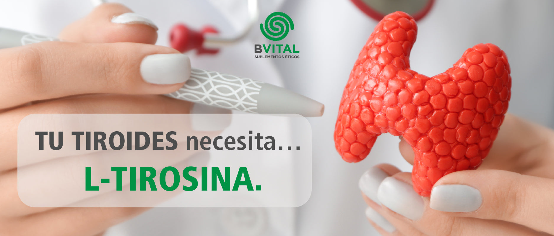 TU TIROIDES NECESITA L-TIROSINA