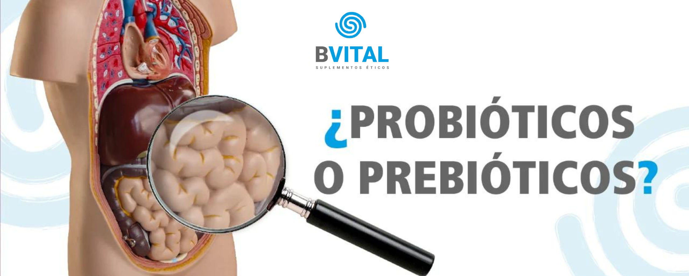 ¿PROBIÓTICOS O PREBIÓTICOS?