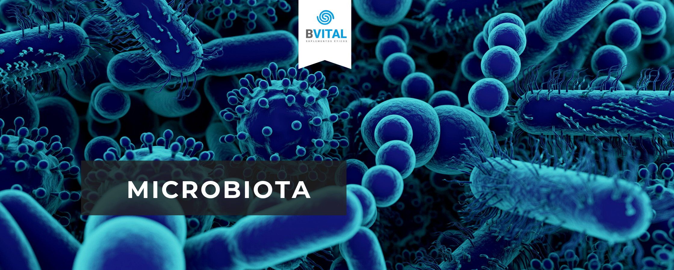 ¿POR QUÉ DEBERÍAS "OCUPARTE" DE TU MICROBIOTA?